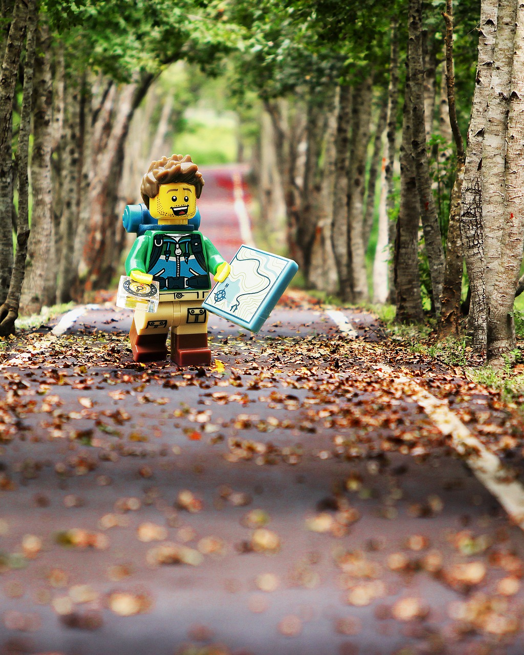 lego, forest, nature-4756388.jpg